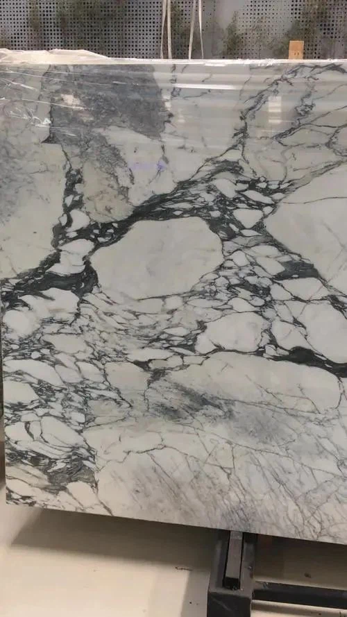 Arabescato Corchia Marble